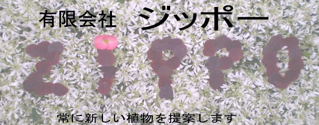 有限会社ジッポー