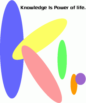 株式会社ＫＩＰ