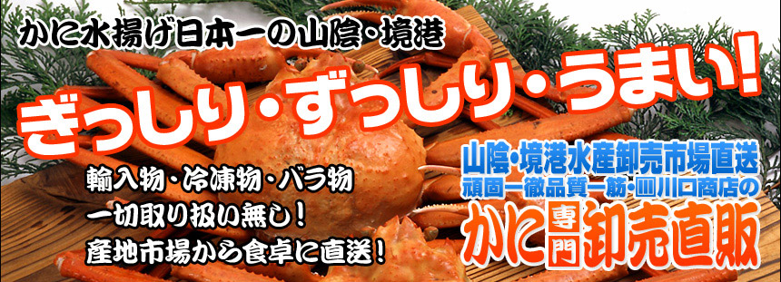 有限会社川口商店