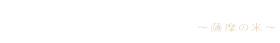 有限会社谷口商店