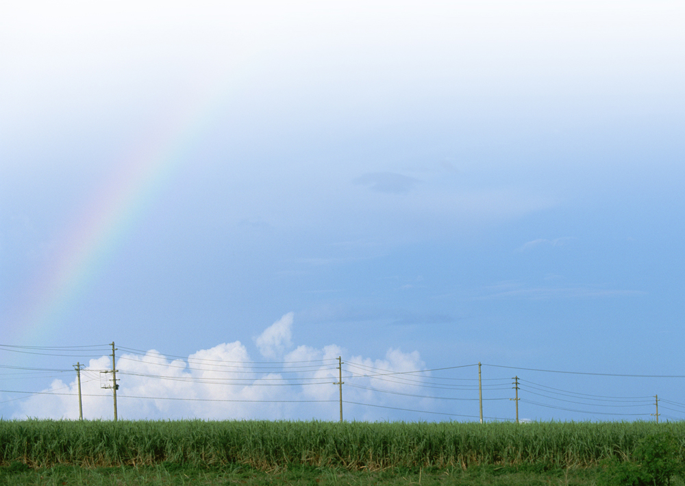 有限会社みどり食品