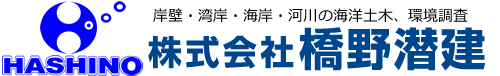 株式会社橋野潜建