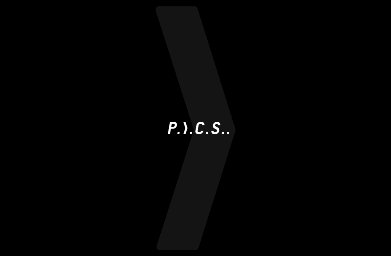 P.I.C.S. Co., Ltd.
