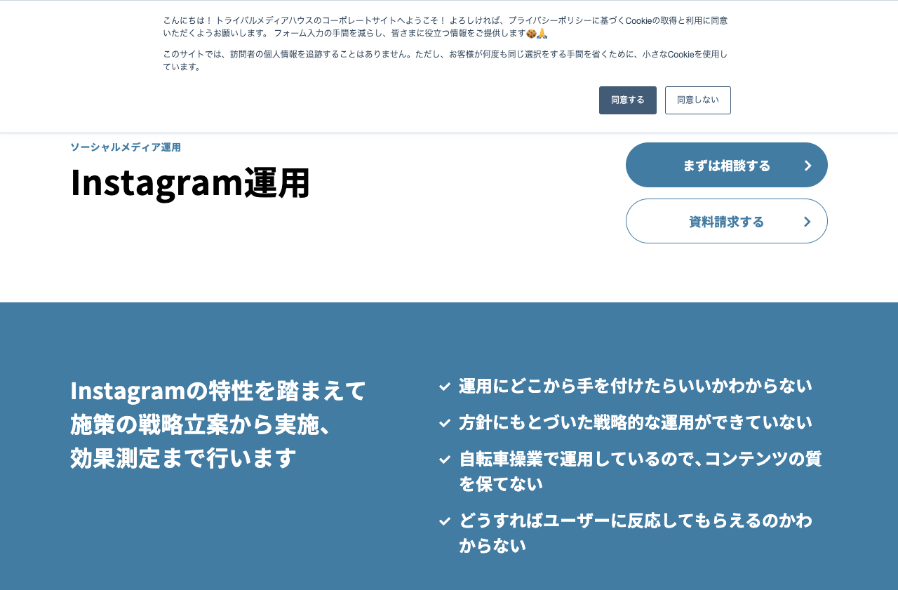 株式会社トライバルメディアハウス