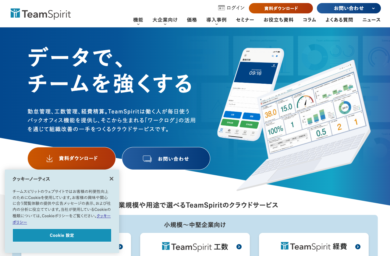 株式会社チームスピリット